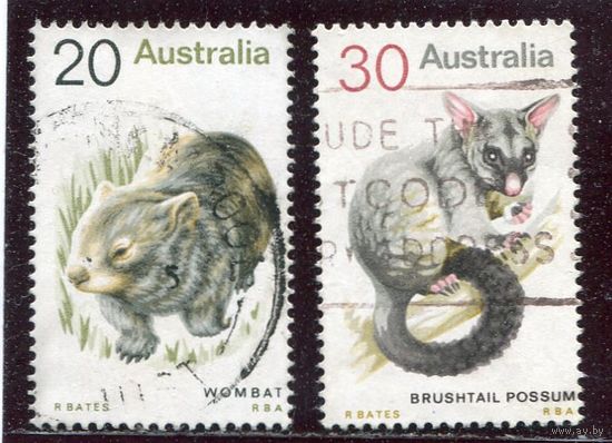 Австралия. Фауна
