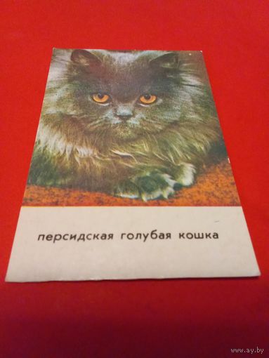 Календарик 1993г.