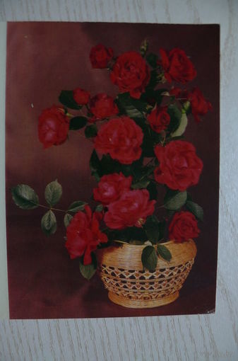 Круцко Б., Розы; 1989, 1990, двойная, чистая.