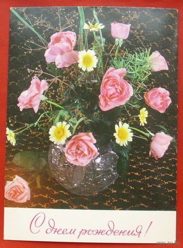 С Днём рождения! Чистая. 1977 года. Фото Баранникова. *53.
