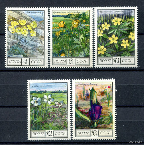 СССР - 1975г. - Цветы - полная серия, MNH, одна марка с небольшим повреждением [Mi 4428-4432] - 6 марок