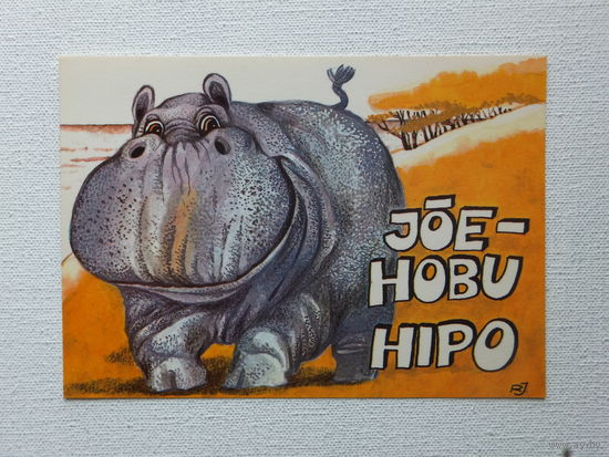 Ярви бегемотик 1981  10х15  см
