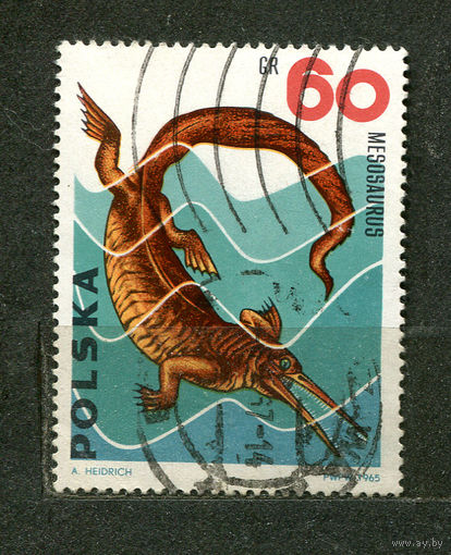 Динозавры. Мезозавр. Польша. 1965