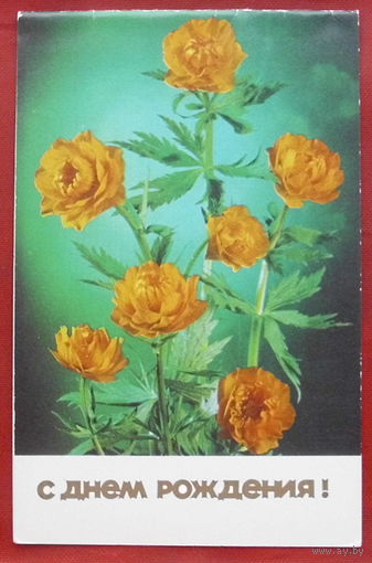 С днём рождения! Двойная. Подписанная. 1985 года. Костенко. 138.