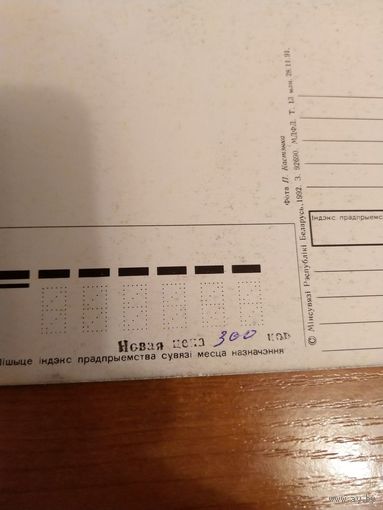 Беларусь редкий провизорий Чаусы Могилев обл праздник Новый год герб Погоня