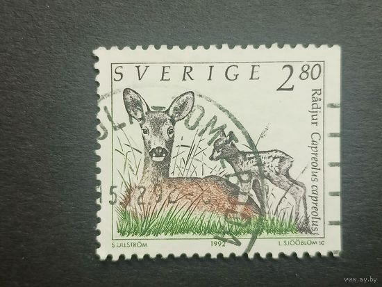 Швеция 1992. Дикие животные