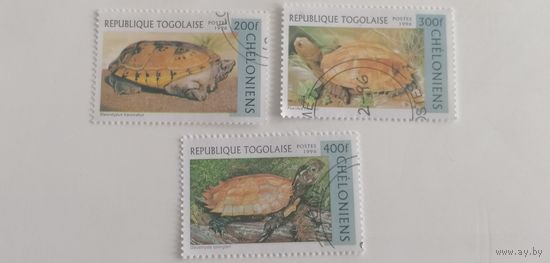 Того 1996. Черепахи