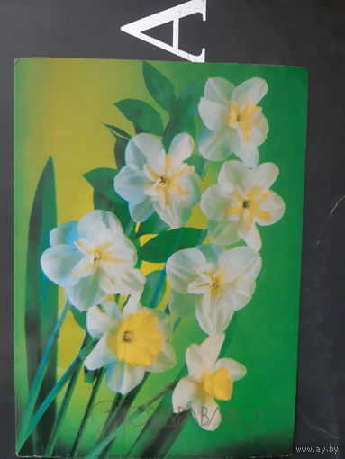 Костенко Нарциссы Поздравляю