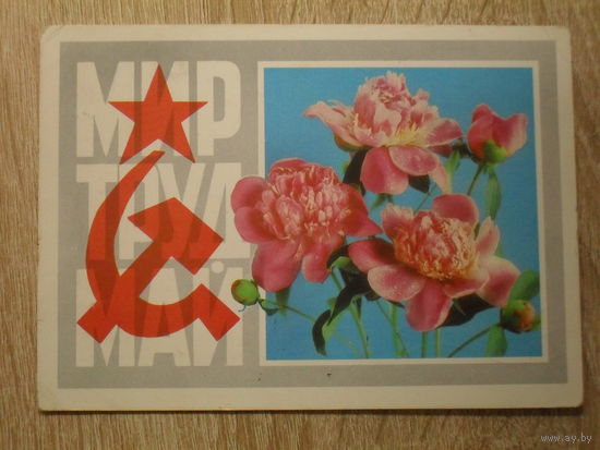 ПОДПИСАННАЯ ОТКРЫТКА СССР. "МИР ТРУД МАЙ" фото. Г. КОСТЕНКО. 1973 год.