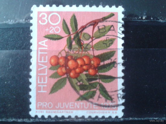 Швейцария 1975 Ягоды