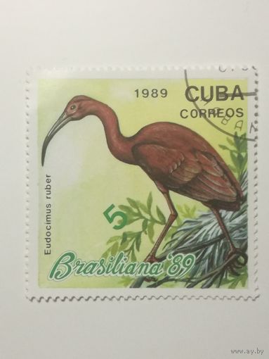 Куба 1989. Выставка Марок "Brasiliana ' 89". Рио де Жанейро. Птицы