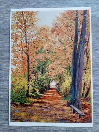 1953. Меллин. Ясная Поляна. Аллея орешника