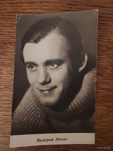 Артисты Носик