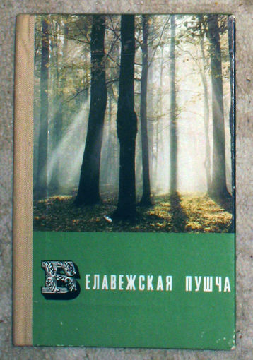 Белавежская пушча.