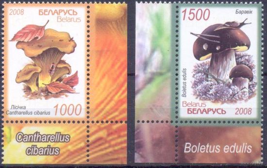 Беларусь 2008 грибы углы текст