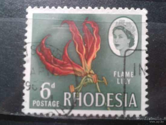 Родезия, 1966. Растение и королева Елизавета II