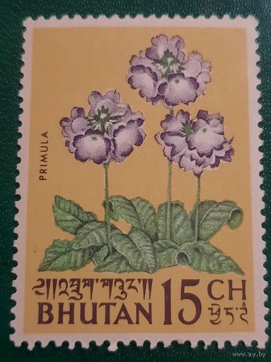 Бутан. Флора. Цветы. Примула