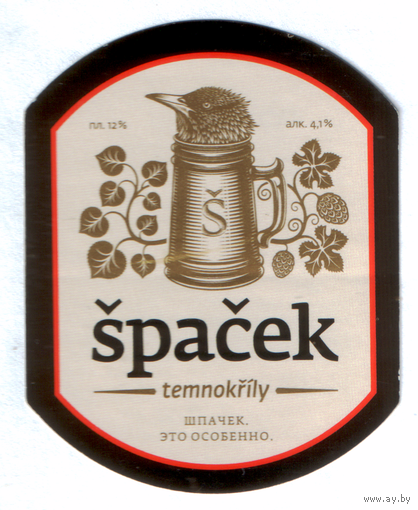 Этикетка пива Spacek Чехия крафт Ф931