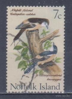 [823] Норфолк 1970. Фауна.Птицы.7с. Гашеная марка.