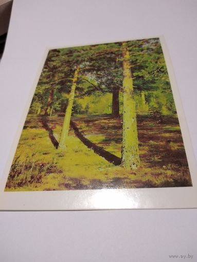 Открытка 1984г. И. Шишкин. Сосны, освещенные солнцем.