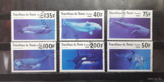 Бенин. 1996 год. Фауна. Киты, дельфины (1257)