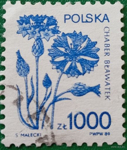 Польша 1989. Флора. Chaber blawatek
