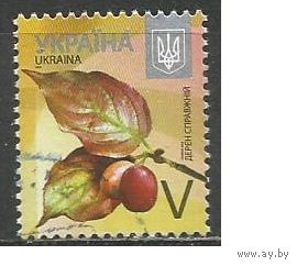 Украина. 8-й стандарт. Тёрн настоящий. 2015г. Mi#1500.