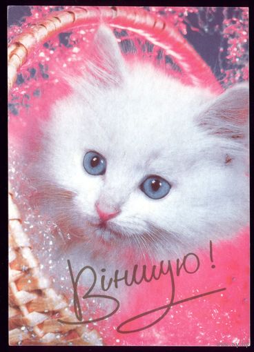 2000 год Вiншую!