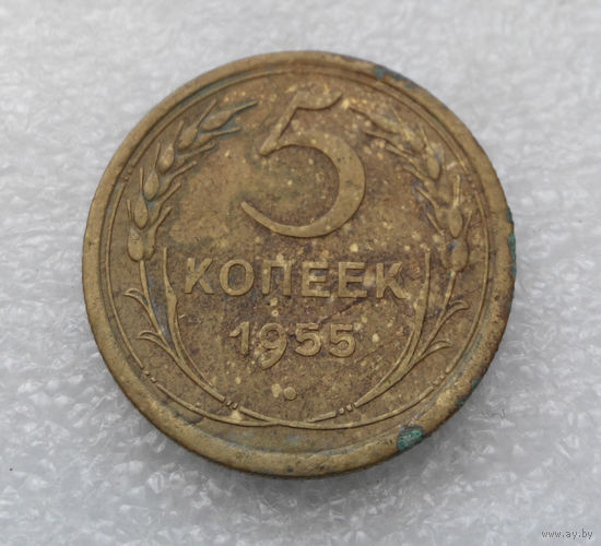 5 копеек 1955 года СССР #16
