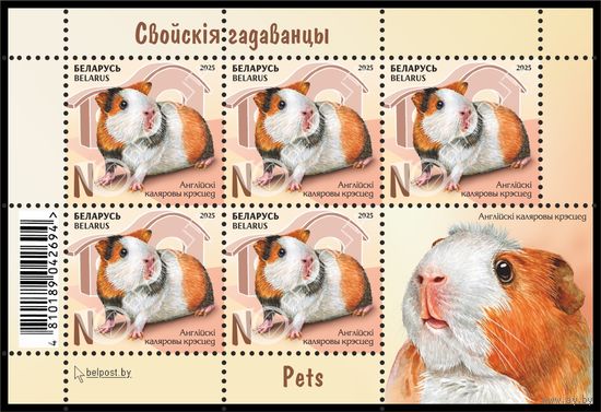 БЕЛАРУСЬ  2025  Малый лист "Детская филателия. Домашние питомцы"  MNH