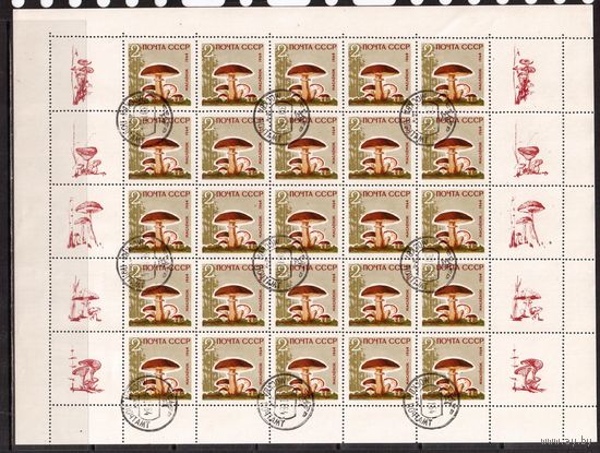 СССР-1964 (Заг.3036А-3040А) гаш., 5 листов(с клеем , без накл.) , Грибы