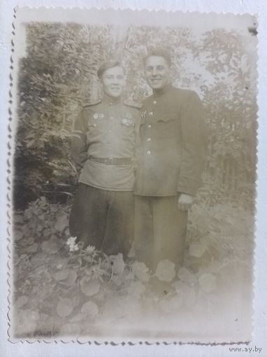 Фото в коллекцию