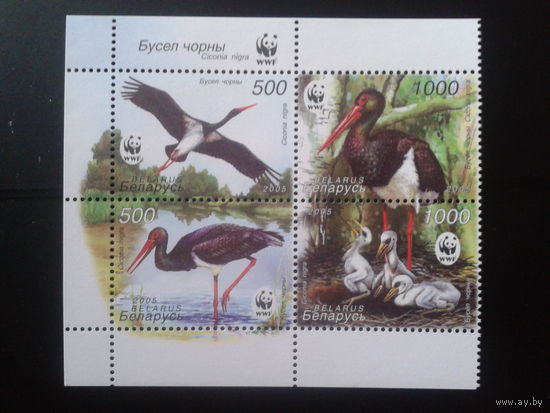 2005 Черный аист** кварт WWF