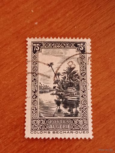 1936 французская колония Алжир флора (4-7)