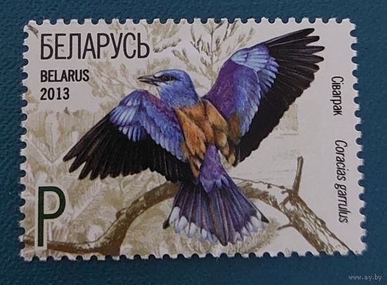 Беларусь 2013 Птица