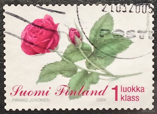 Финляндия 2004. Роза