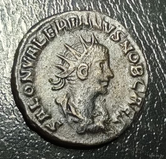 Император Салонин (редкий, оригинал)