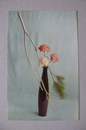 Игнатович Е., Цветы; 1969, подписана.