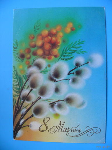 Коробова Н., 8 Марта, 1981, подписана.