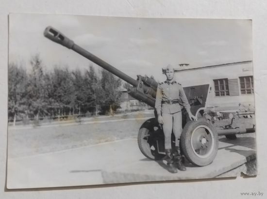 Фото в коллекцию