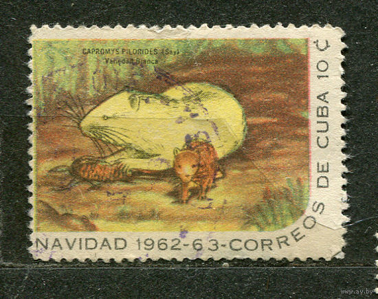 Кубинская крыса. Куба. 1962