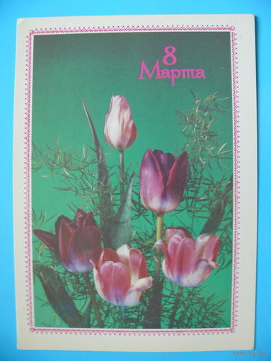 Дергилев И., 8 Марта, 1989, чистая.