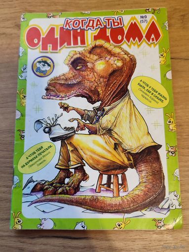 Когда ты один дома.