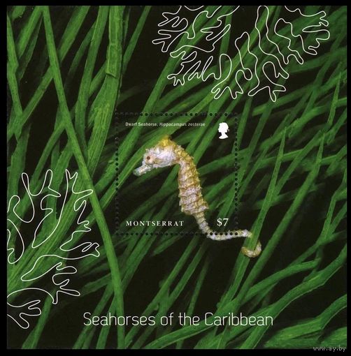 2015 Монтсеррат 1768/B169 Морская фауна - Морской конек 6,00 евро