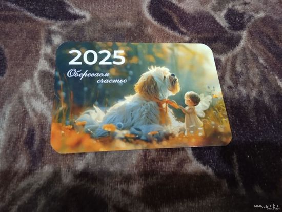 Белгосстрах 2025