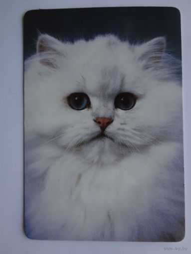 Календарик 1997 г. Белый кот.