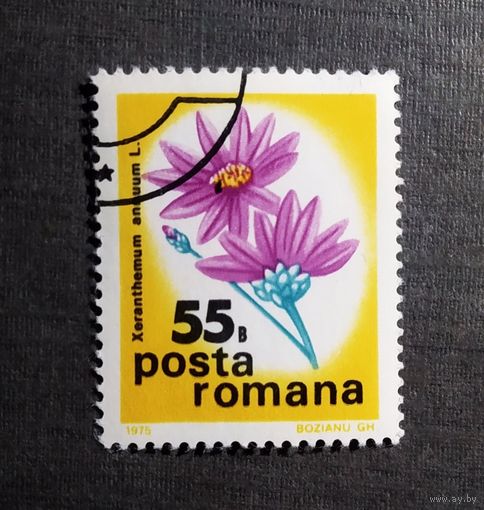 Марка Румыния 1975 год Цветы