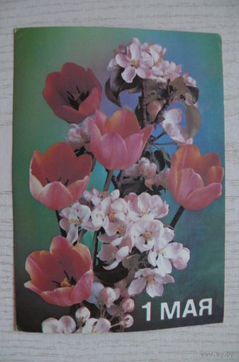 Костенко П., 1 Мая, 1988, 1989, чистая.