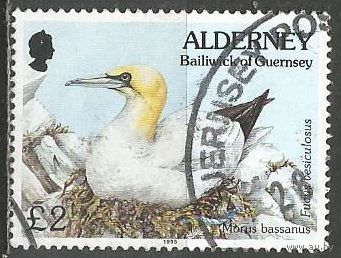 Британия(Олдерни). Птицы. Северная олуша. 1994г. Mi#82.