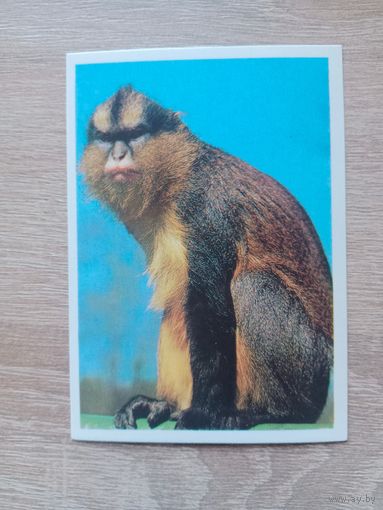 Календарик 1990